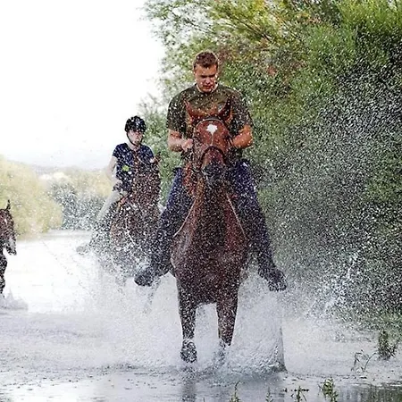 Gala & Galina Вилла Obrovac Sinjski
